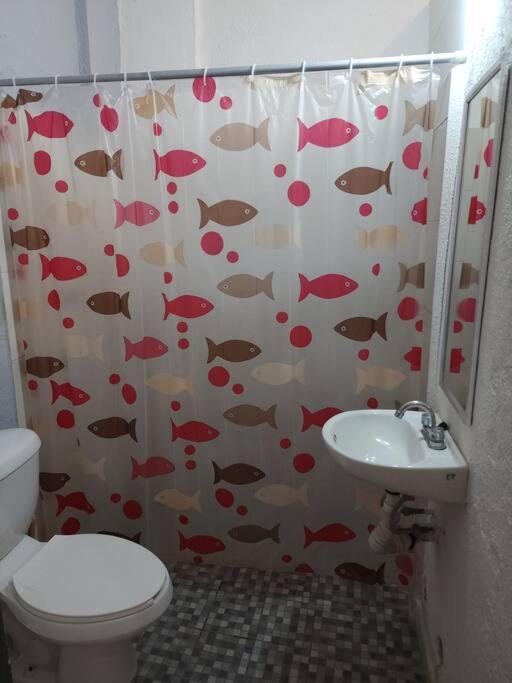 Small Studio Apt 5Min To Dt! Zihuatanejo Dış mekan fotoğraf